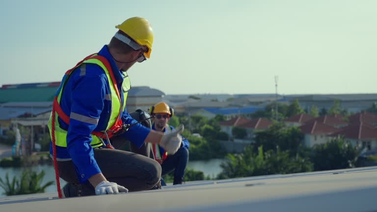 Best Sheet Metal Roofing  in Wake Village, TX