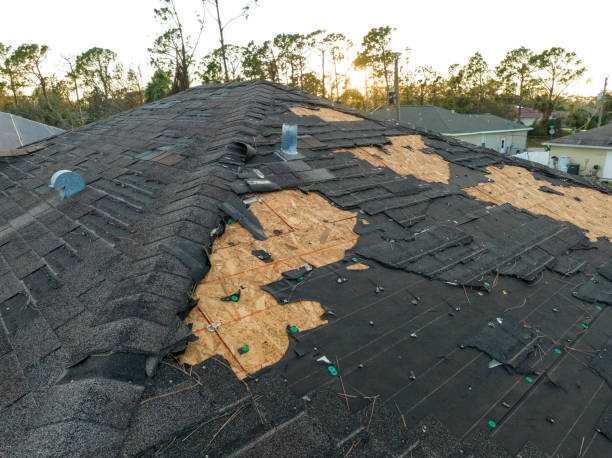 Best Metal Roofing Installation  in Wake Village, TX