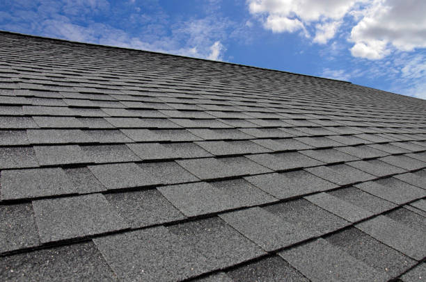 Best Steel Roofing  in Wake Village, TX
